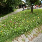 Englmannsberg (2).jpg