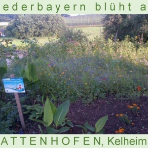 Niederbayern-blüht-2014_Seite_06.jpg