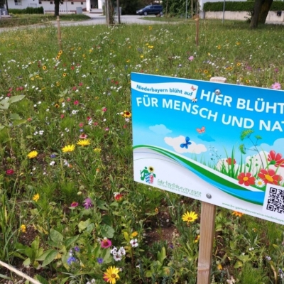 OGV Heimhart und Umgebung (3).jpg