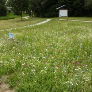 kehlheim2.jpg