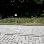 Eichendorf (2).jpg