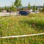Hengersberg (1).JPG