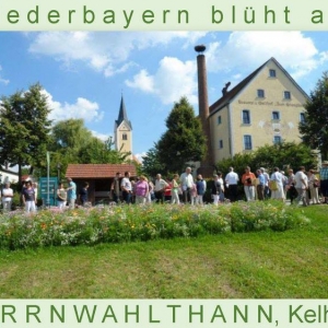 Niederbayern-blüht-2014_Seite_30.jpg
