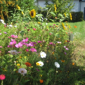 Essenbach-Friedhof-2.jpg
