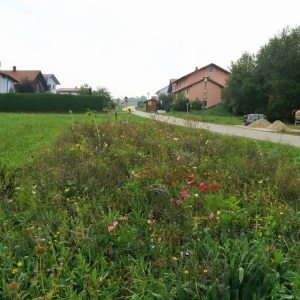 Haunersdorf-1.jpg