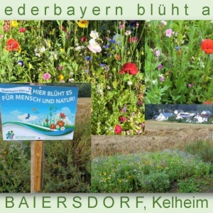 Niederbayern-blüht-2014_Seite_10.jpg