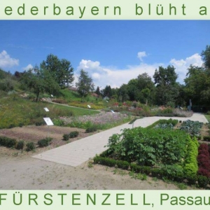 Niederbayern-blüht-2014_Seite_17.jpg