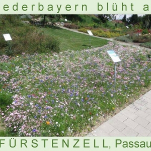 Niederbayern-blüht-2014_Seite_18.jpg