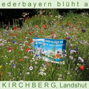 Niederbayern-blüht-2014_Seite_38.jpg