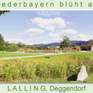Niederbayern-blüht-2014_Seite_42.jpg