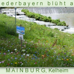 Niederbayern-blüht-2014_Seite_49.jpg