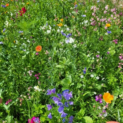 Unteriglbach (3).jpg