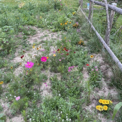 Geiselhöring (3).jpeg