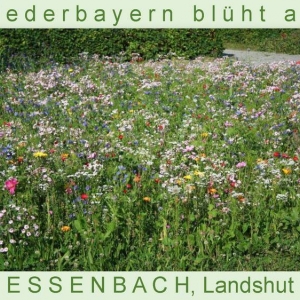 Niederbayern-blüht-2014_Seite_12.jpg