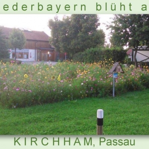 Niederbayern-blüht-2014_Seite_39.jpg