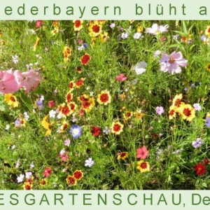Niederbayern-blüht-2014_Seite_47.jpg