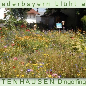Niederbayern-blüht-2014_Seite_16.jpg