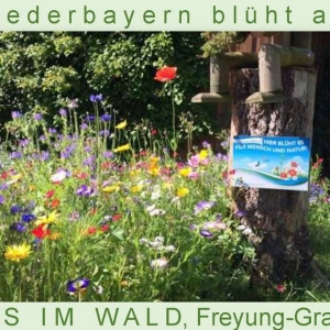 Niederbayern-blüht-2014_Seite_25.jpg
