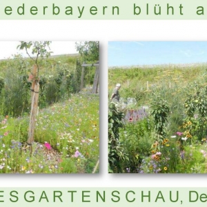 Niederbayern-blüht-2014_Seite_46.jpg