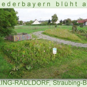 Niederbayern-blüht-2014_Seite_59.jpg