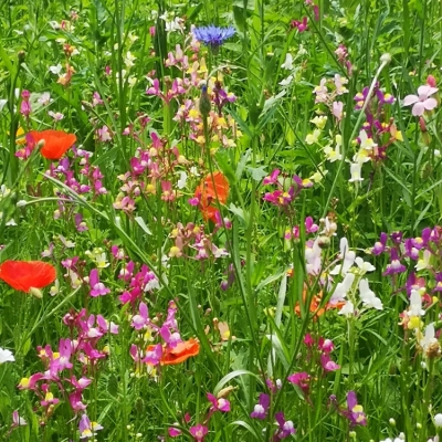 Unteriglbach (4).jpg