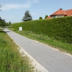 Viecht (1).JPG