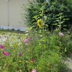Dietelskirchen (2).jpg