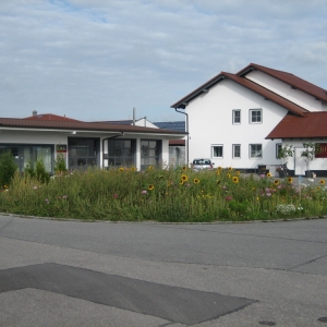 Loiching2.jpg