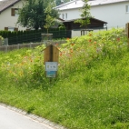 Moos-Langenisarhofen (1).JPG