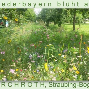 Niederbayern-blüht-2014_Seite_40.jpg
