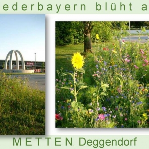 Niederbayern-blüht-2014_Seite_50.jpg