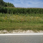 Oberhausen3.jpg