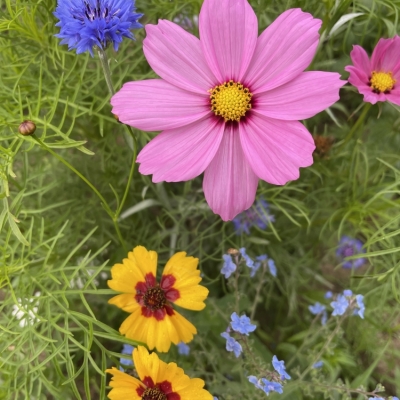 Geiselhöring (1).jpeg