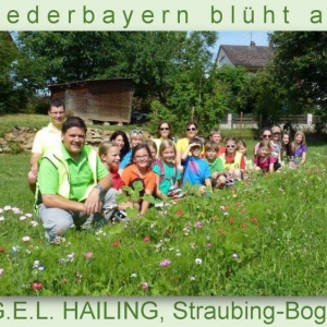 Niederbayern-blüht-2014_Seite_23.jpg