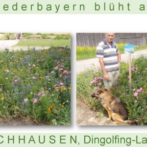 Niederbayern-blüht-2014_Seite_54.jpg
