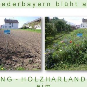 Niederbayern-blüht-2014_Seite_67.jpg