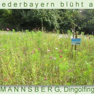 Niederbayern-blüht-2014_Seite_11.jpg
