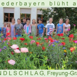 Niederbayern-blüht-2014_Seite_27.jpg