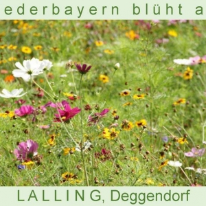 Niederbayern-blüht-2014_Seite_44.jpg