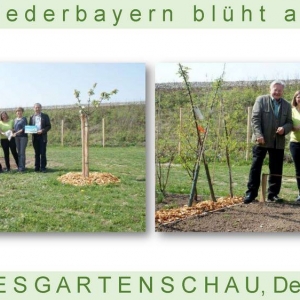 Niederbayern-blüht-2014_Seite_45.jpg