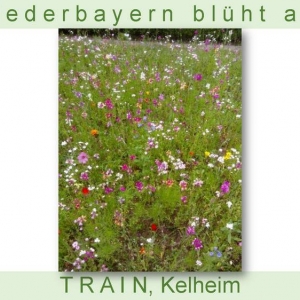 Niederbayern-blüht-2014_Seite_69.jpg