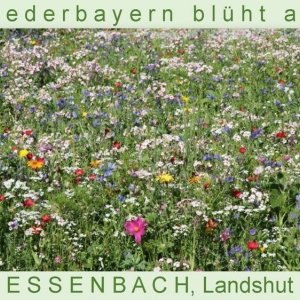 Niederbayern-blüht-2014_Seite_14.jpg