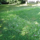 Reisbach (1).JPG