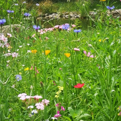 Unteriglbach (1).jpg