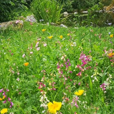 Unteriglbach (2).jpg