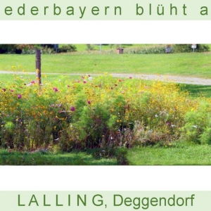 Niederbayern-blüht-2014_Seite_41.jpg