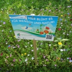 Reisbach.JPG