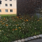 Bayerisch Eisenstein3.jpg