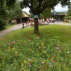 Englmannsberg (3).jpg