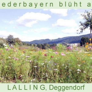 Niederbayern-blüht-2014_Seite_43.jpg
